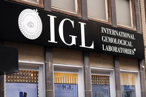 IGL International LTD